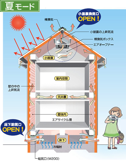 夏のエアサイクル